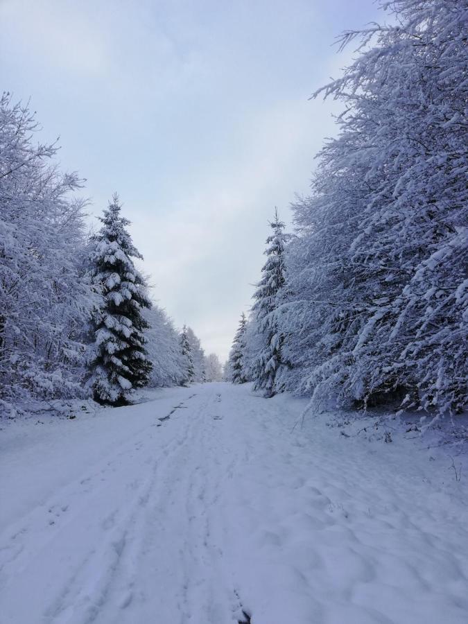 Chalet Du Praillage สปา ภายนอก รูปภาพ